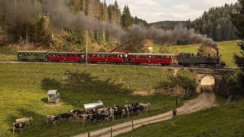 Il treno a vapore tra le Franches-Montagnes