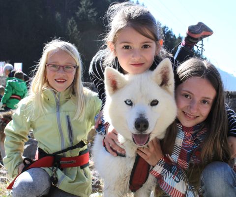 Tre bambine coccolano un husky bianco