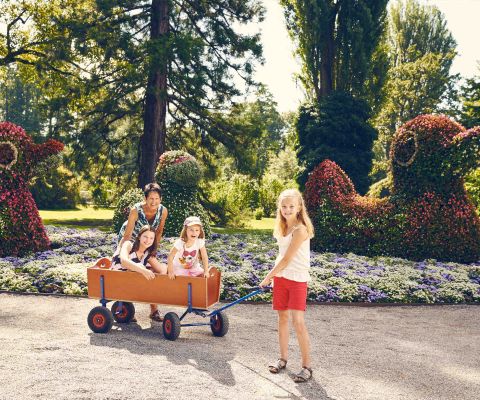 Familie steht mit Bollerwagen vor blühenden Beeten im Park