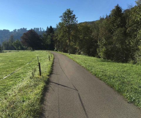 Una pista ciclabile asfaltata tra prati verdi con un bosco sullo sfondo