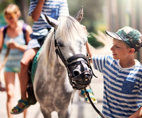Un ragazzo conduce un cavallo con il cavaliere dalle redini