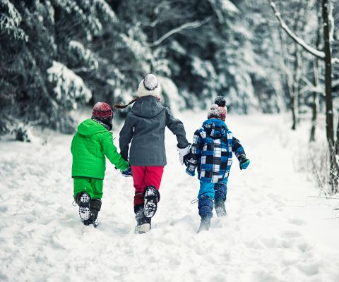Trois enfants marchant main dans la main à travers un paysage enneigé