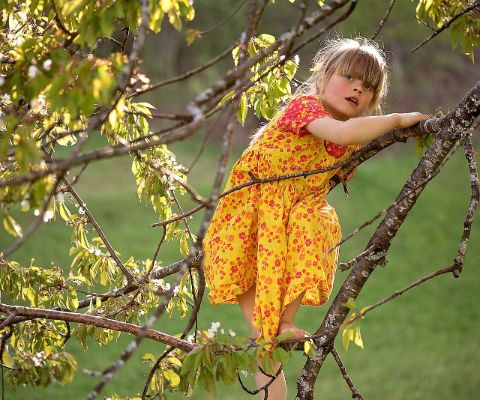 Bambina si arrampica sull'albero