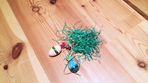 Herbe de Pâques et œufs décorés sur le sol