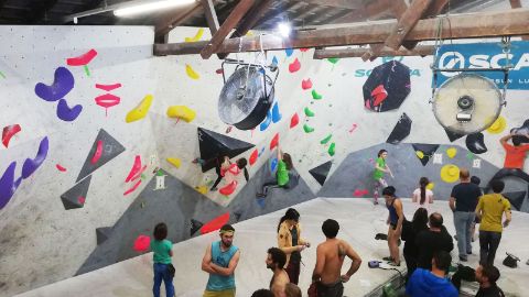 Kletterwände im Alpha Boulder.