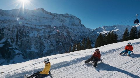 schlittelbahn-Inhaltsbild-Fliesstext-1600x900