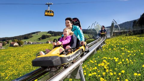 Bobbahn Kronberg, Gonten