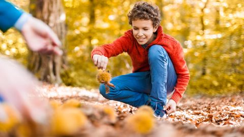 content-1600x900-kastanienwege-kachelteaser