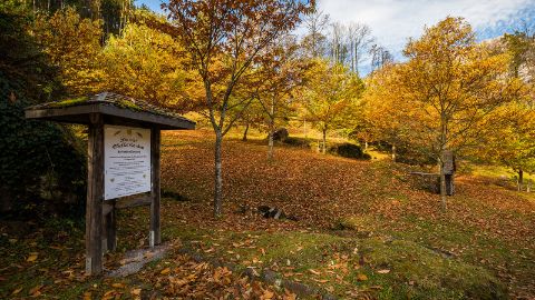 Il sentiero dei castagni della Valle del Murg si dipinge dei meravigliosi colori dell'autunno.