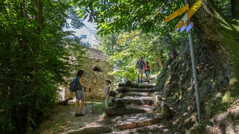 Die Wanderung von Locarno Monti nach Contra im Verzascatal führt durch einen traumhaften Kastanienwald