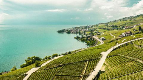 Montreux Riviera und die Weinterrassen des Lavaux