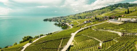 Montreux-Riviera-und-die-Weinterrassen-des-Lavaux