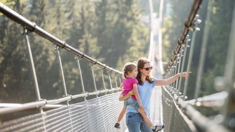 Skywalk, Sattel-Hochstuckli