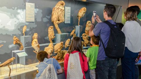 content-1600x900-naturmuseum-genf