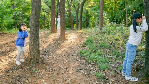 content-1600x900-11-versteckerli