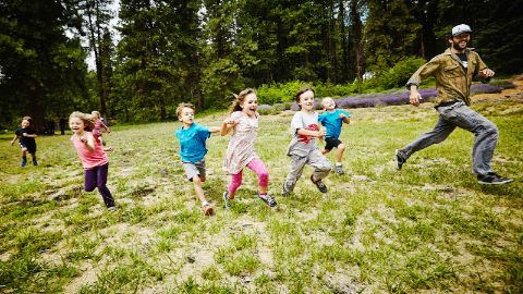 content-1600x900-12-wald-wettlauf