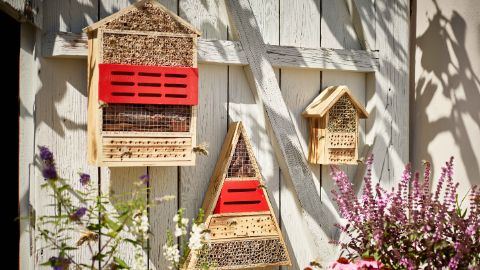 Insektenhotels an einer Holzscheune Insektenhotels an einer Holzscheune
