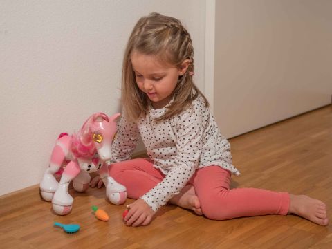 Mädchen füttert Zoomer Pony Mädchen füttert Zoomer Pony