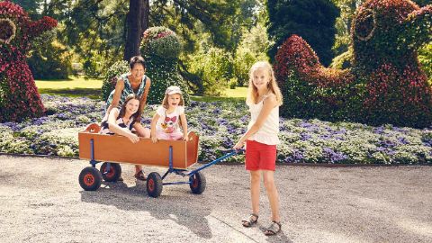 Famille avec un chariot devant des parterres en fleurs dans un parc