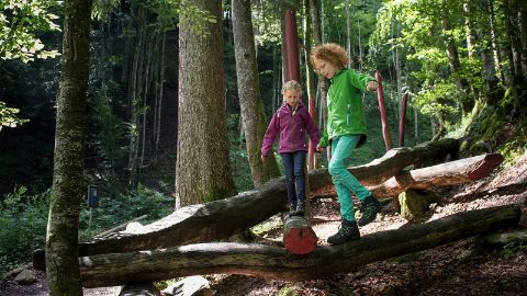 content-1600x900-sinnepark-ebnatkappel