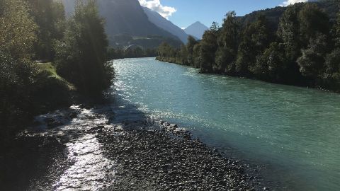 Sortie vélo en famille sur les bords du Rhône