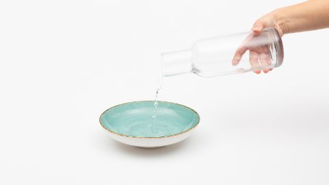 Remplir une assiette creuse d’eau du robinet.