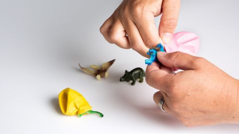 Tirare i palloncini sui piccoli dinosauri di plastica.