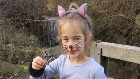 Viso di ragazzina truccato da gatto Viso di ragazzina truccato da gatto