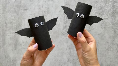 Il materiale per i pipistrelli di Halloween è costituito da rotoli di carta igienica