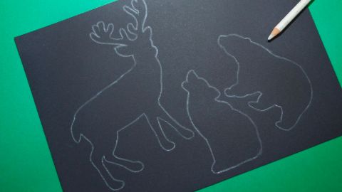 Disegnare gli animali sul cartone per bricolage nero.
