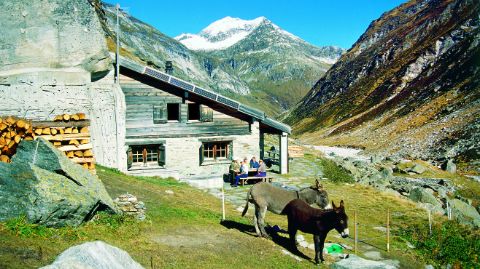 Zwei Esel vor einer SAC Hütte in den Bergen