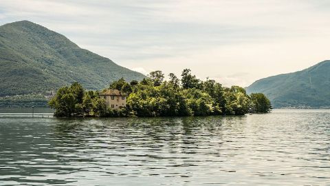 Le Giardino botanico del Cantone Ticino sur les îles de Brissago, sur le lac Majeur