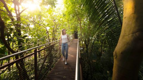 Tropische Stunden im Papiliorama und Nocturama