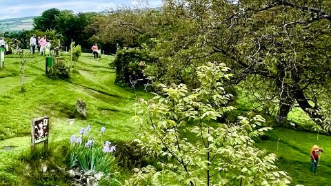 Campo da minigolf su erba di Cremin