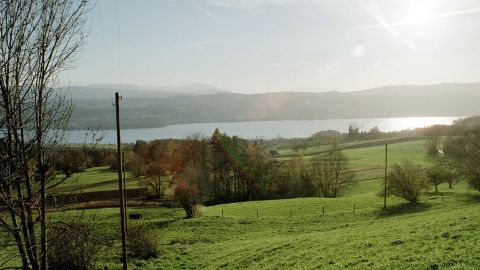 Vista sul lago di Zurigo