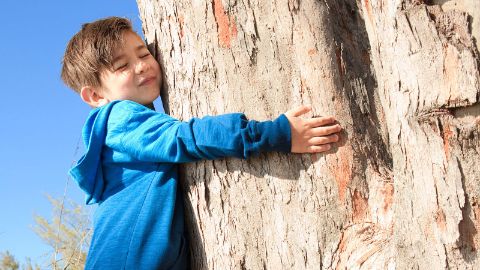 Junge umarmt einen Baum