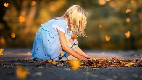 content-1600x900-5-waldkunst