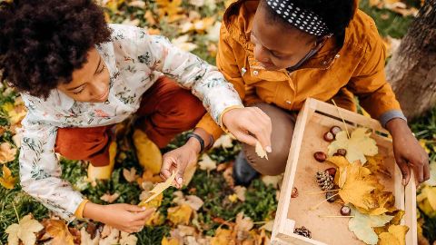 content-1600x900-8-wald-memory