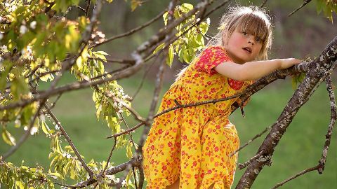 content-1600x900-9-baumversteckis