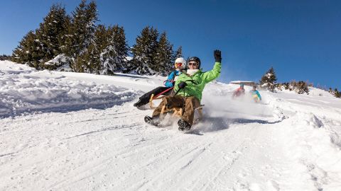 Vier junge Leute haben Spass auf der Schlittelpiste des Skigebietes Feldis