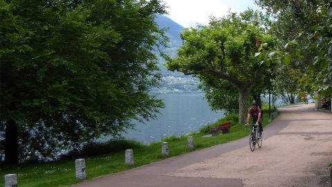 Un ciclista percorre una pista ciclabile sulle sponde della riserva naturale delle Bolle di Magadino