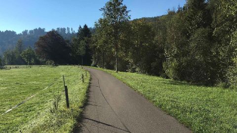 Una pista ciclabile asfaltata tra prati verdi con un bosco sullo sfondo