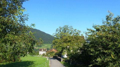 Schwyz - Arth-Goldau