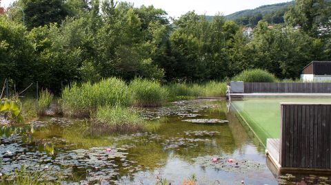 La piscina ecologica all'aperto di Biberstein