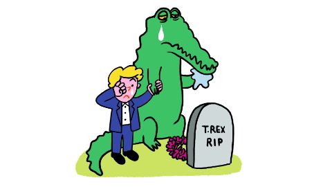 Dinosaurier Blogpost Dinosaurier Blogpost