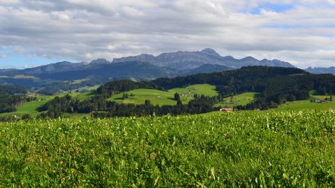 Vue sur le Säntis depuis le sentier des énigmes