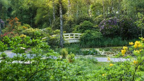 Blühender Park Seleger Moor in Rifferswil
