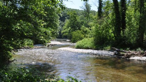 content-1600x900-allondon