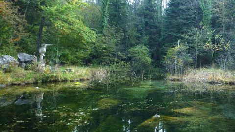 content-1600x900-goldseeli