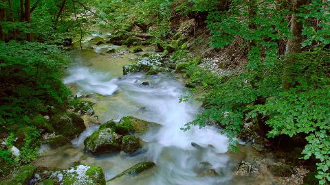 content-1600x900-gorges-de-covatannaz